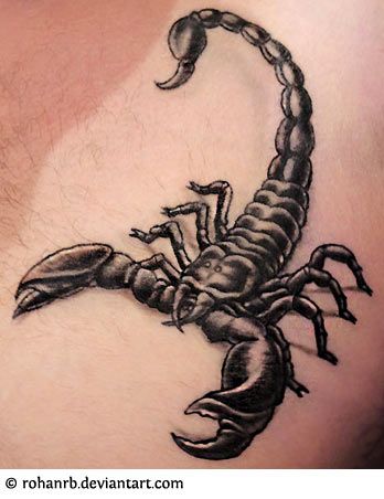 Scorpion Scorpio Zodiac Tattoos, Free Tattoo Designs, Scorpio Tattoo, Insect Tattoo, Scorpion Tattoo, Back Tattoos For Guys, Zodiac Tattoos, Tatuaje A Color, Zodiac Tattoo