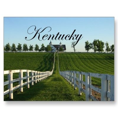 Kentucky Bluegrass Country Kentucky Girl, Honeymoon Places, Go Big Blue, My Old Kentucky Home, Country Side, Horse Barns, University Of Kentucky, Post Cards, Happy Places