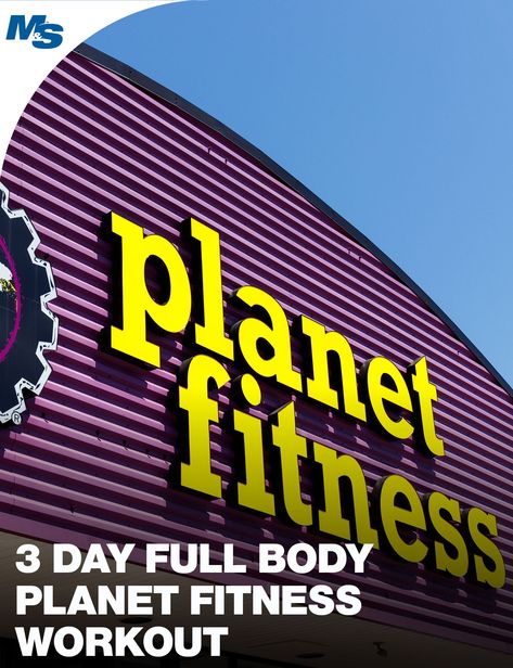 In this edition of a series of Planet Fitness appropriate workouts, we provide a 3 day full body workout one could do with the equipment at Planet Fitness. #PlanetFitness #Workout #DumbbellOnly 3 Day Full Body Workout, Planet Fitness Workout Plan, Weight Lifting Routine, Fitness Style, Planet Fitness, Fun Fitness, Popular Workouts, Acro Yoga, Workout Plan Gym