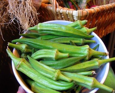 real food tulsa: Can You Eat Raw Okra? Okra Fritters, We Are Not Friends, Sauteed Okra, How To Cook Okra, Home Things, Farmers Market Recipes, Okra Recipes, Not Friends, How To Become Vegan