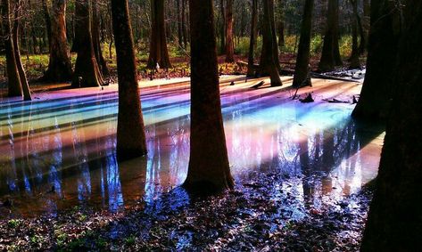 Pictures Of Rainbows, Fly Geyser, Satisfying Photos, Rainbow Lake, Lenticular Clouds, Congaree National Park, Black Rock Desert, Rainbow Pictures, Zhangjiajie