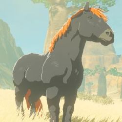 Hyrule Compendium, Giant Horse, Mounted Archery, Horse Png, Shigeru Miyamoto, Horse Games, Types Of Horses, Japanese Games, Grass Field