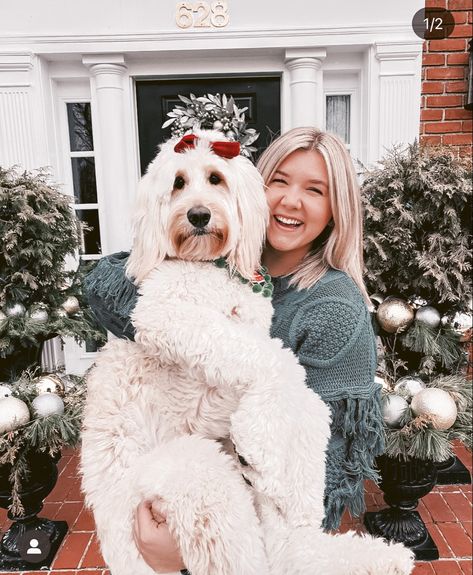 the deluxe pup | dog mom aesthetic | goldendoodle mom Dog Mom Aesthetic, Goldendoodle Mom, Accessories For Dogs, Mom Aesthetic, Aesthetic Dog, Funny Dog Memes, Dog Bandanas, Dog Wallpaper, Dog Pin