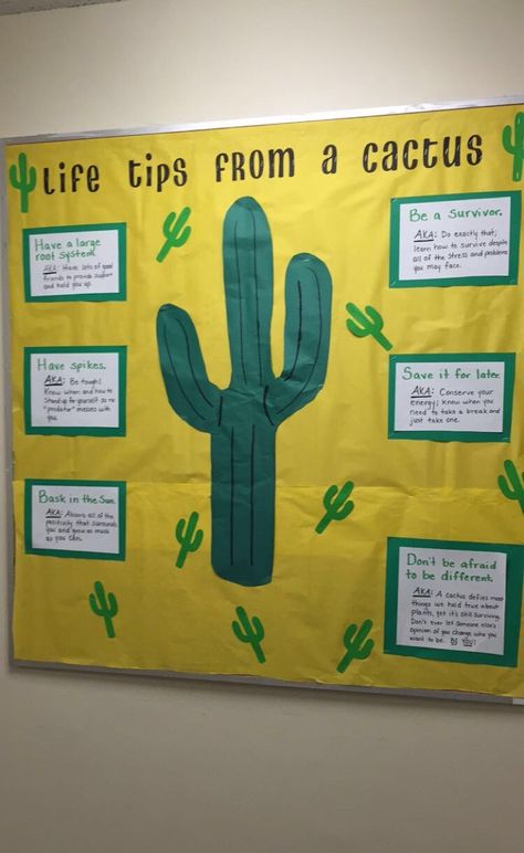 RA Bulletin board encouraging students. Desert theme Desert Theme Bulletin Boards, Dorm Bulletin Boards Resident Assistant, Encouraging Bulletin Boards, Stick Together Bulletin Board, Desert Bulletin Board, Desert Classroom Theme, Desert Classroom, Cactus Classroom Theme, Resident Assistant Bulletin Boards