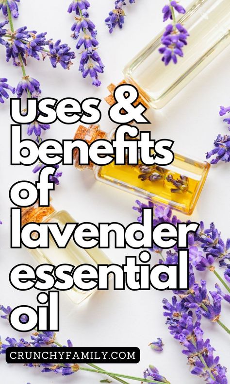 Benefits of lavender essential oil, and many uses from skincare to the home Benefits Of Lavender Essential Oil, Lavender Essential Oil Benefits, Benefits Of Lavender, Lavender Benefits, Witchy Aesthetic, Essential Oil Benefits, Oil Benefits, Lavandula Angustifolia, Natural Health Remedies