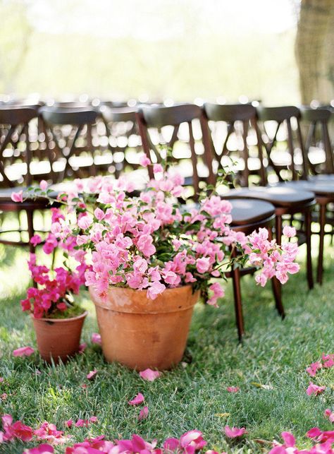 Terracotta Wedding Decor Ideas and Inspiration Wedding Aisles, Tattoo Plant, Wedding Ceremony Ideas, Boda Mexicana, Wedding Aisle Decorations, Wooden Chairs, Eco Friendly Wedding, Aisle Decor, Wedding Aisle