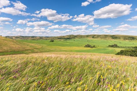 The hilly landscape of the Orenburg region, Russia Landscape References, Hilly Landscape, Scenery Background, Location Inspiration, Mother Nature, Mood Board, Russia, Walking, Heat