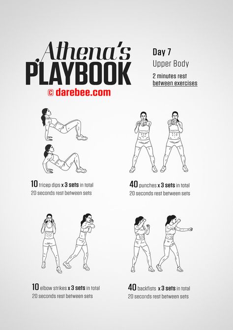 Darbee Workout, Upper Ab Workout, Core Workout Videos, Best Abdominal Exercises, Workout Nutrition, Warrior Workout, Nutrition Motivation, Printable Workouts, Abdominal Exercises