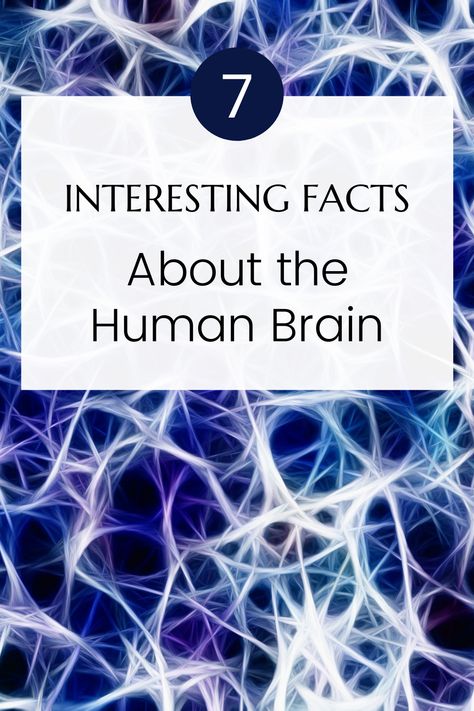 7 Interesting facts about the Human Brain. Facts About The Brain, Human Brain Facts, Brain Models, Facts About Humans, Brain Facts, The Human Brain, Medical Facts, Daily Facts, Learning Techniques