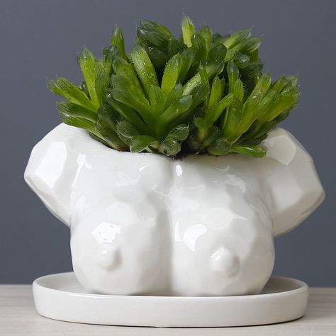 Body Ceramics, Ceramic Bust, Kitchen Herbs, Bust Sculpture, Flower Pots Outdoor, Ceramic Flower Pots, Bonsai Pots, Plant Cuttings, Succulent Pots