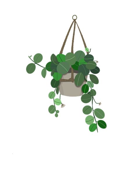 Hanging Plants Illustration, Hanging Plant Illustration, Plant Paintings, Basic Drawing, Plant Painting, Plant Drawing, Hanging Plant, Free Illustration, Plant Illustration