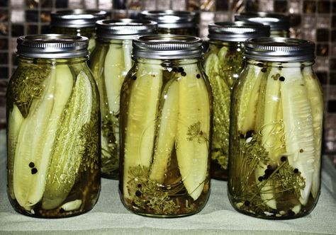 The Ultimate Classic Kosher Dill Pickle Recipe Mavis Butterfield Recipes, Kosher Dill Pickle Recipe, Pickling Crock, Homemade Pickles Dill, Kosher Dill Pickles, Pickle Vodka, Dill Pickle Recipe, How To Make Pickles, Best Pickles