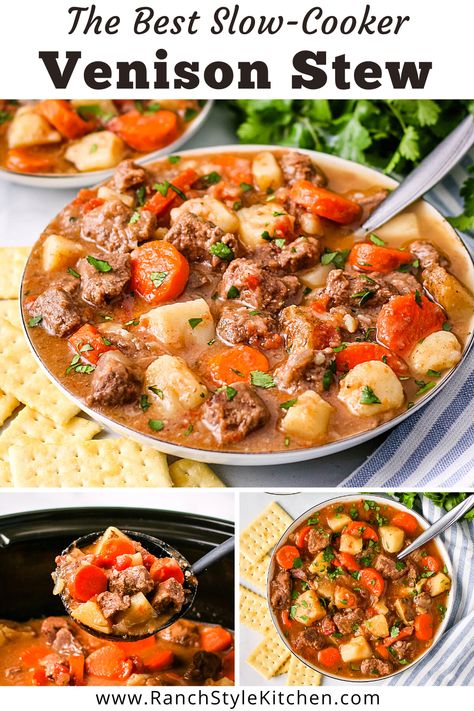 Venison Roast Stew, Venison Tips And Gravy Crock Pot, Quick And Easy Dinner Recipes With Deer Meat, Pressure Cooker Venison Stew, Crockpot Recipes With Venison, Deer Meat Roast Crock Pot, Easy Deer Meat Recipes Simple, Deer Backstrap Recipes Crockpot Venison Stew, Crockpot Deer Stew