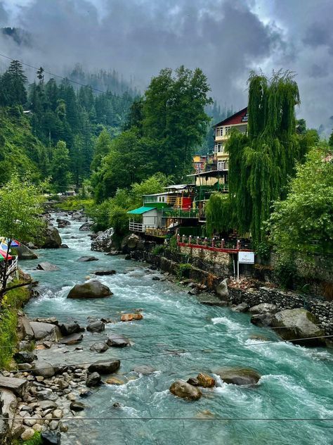 Kashmir Pics, Social Media Specialist, Digital Marketing Seo, Home Green, Media Specialist, Nature View, Green Tree, Seo Expert, Cross Stitch Patterns