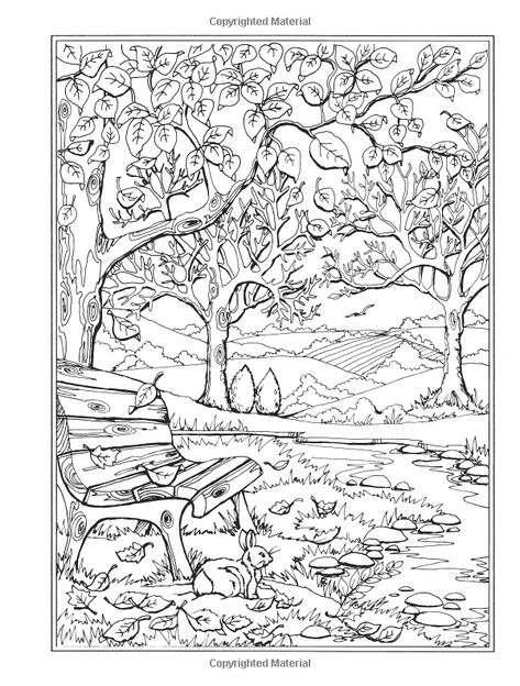 Amazon.com: Creative Haven Autumn Scenes Coloring Book (Adult Coloring) (9780486812748): Teresa Goodridge: Books Welcome To Dover Publications, Autumn Coloring Pages For Adults, Dover Publications Coloring Pages, Autumn Colouring Pages, Creative Haven Coloring Pages, Fall Coloring Pages For Adults, Modele Zentangle, Dover Coloring Pages, Forest Coloring Pages