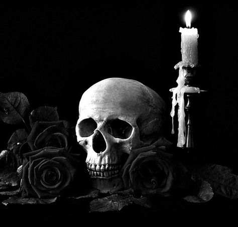 A specter of deathless oblivion... Skull Aesthetic, Emo Skull, Apocalypse World, Rosie Posie, Penelope Douglas, Aesthetic Goth, Rosé Aesthetic, Goth Aesthetic, Witchy Vibes