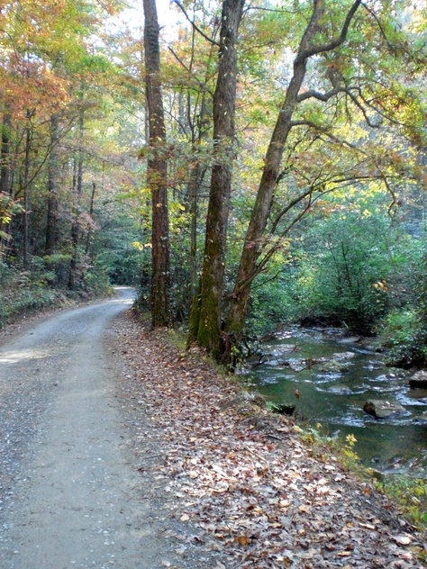 Fall in the Georgia Mountains North Georgia Aesthetic, Mccaysville Georgia, Ga Mountains, Georgia Peaches, North Georgia Mountains, Georgia Mountains, Scenic Photos, Georgia On My Mind, North Georgia