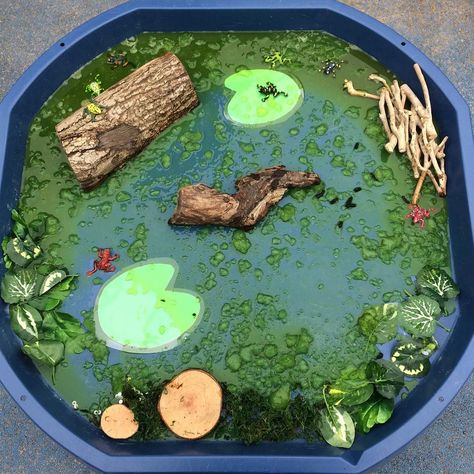 Sensory play - Lifecycle frog pond 🐸#trayfortheday#tufftray#sensoryplay#messyplay#earlyyearsoutdoors So much language ( and 5 speckled… Tuff Table, 5 Speckled Frogs, Tuff Tray Activities, Speckled Frogs, Frog Activities, Pond Animals, Rainforest Theme, Lifecycle Of A Frog, Mini Beasts