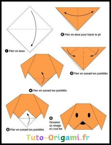 Tête de chien en Origami facile pour débutant et enfant Origami Instructions Animals, Origami Instructions Easy, Origami For Kids Animals, Origami Instructions For Kids, Dragon Origami, Origami Dog, Easy Origami For Kids, Origami Architecture, Origami Star Box