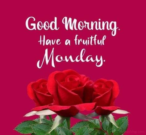 Good Morning Monday Wishes, Inspirational Morning Messages, Monday Good Morning Images, Happy Monday Gif, Happy Monday Good Morning, Monday Morning Greetings, Monday Morning Wishes, Monday Good Morning, Happy Monday Images