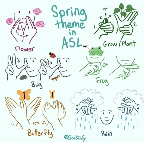 English Sign Language, Asl Words, Simple Sign Language, Sign Language Art, Asl Sign Language Words, Braille Alphabet, Sign Language Chart, Sign Language Lessons, Nature Exploration