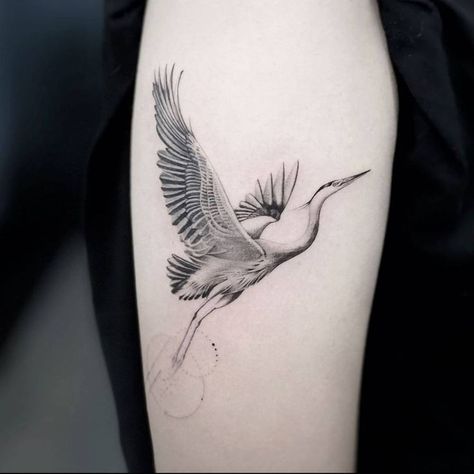 Eastern Blue Bird Tattoo, Great Blue Heron Tattoo Traditional, Grey Heron Tattoo, Blue Heron Tattoo, Stork Tattoo, Free Like A Bird, Paper Crane Tattoo, Heron Tattoo, 22 Tattoo