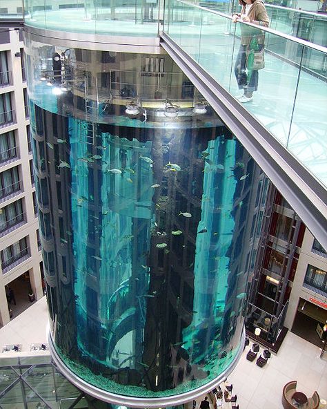 The AquaDom in Berlin - Germany. It is a 25 metre tall cylindrical acrylic glass aquarium with built-in transparent elevator! Glass Aquarium, Amazing Buildings, Krakow, Berlin Germany, Oh The Places Youll Go, Aquariums, Amazing Architecture, Places Around The World, Vacation Spots