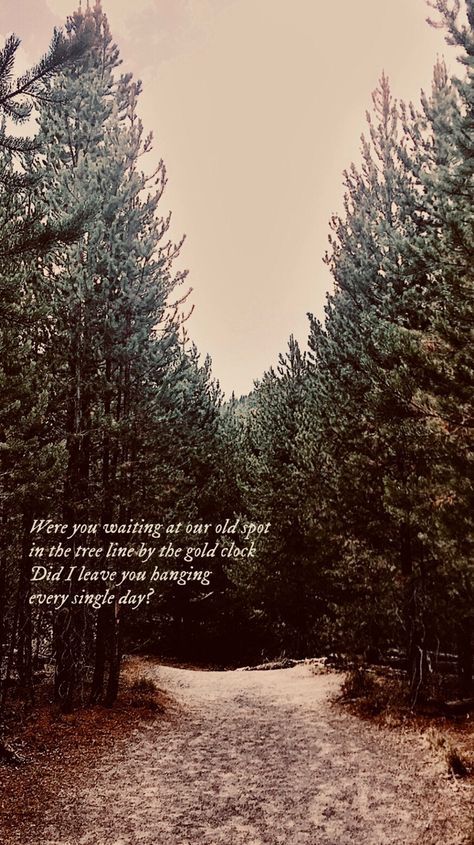 Evermore Lyrics, Taylor Swift Lyric Quotes, Taylor Swift Song Lyrics, Swift Wallpaper, Taylor Lyrics, Swift Lyrics, Taylor Swift Music, Taylor Swift Posters, Lock Screens