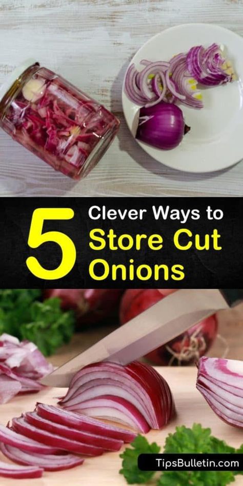 Discover the secret to keeping cut onions fresh. Our guide shows you how to store cut onions in a sealed container or plastic bag so they stay fresh and delicious. You’ll never have to go without onions in a meal again. #onions #store #cutonions #onionstorage How To Preserve Red Onions, How To Preserve Onions, Storing Onions, Freezing Leftovers, Onion Storage, Storing Fruit, Storing Vegetables, Vegetable Benefits, Cooking Hacks