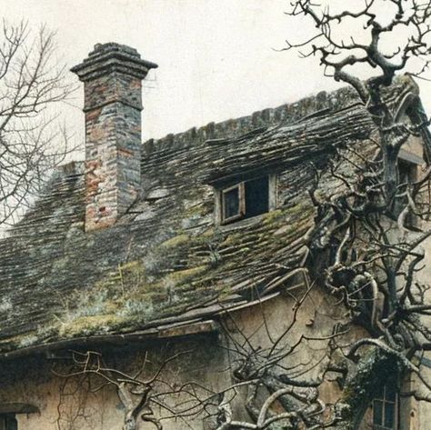 Nuria Velasco on Instagram: "Good morning everyone! This quaint cottage may need a little work to make it fully habitable, but it looks so attractive that I would definitely like a visit at the very least! Sometimes I see this type of old building among other more modern ones and I wonder how it survived there... Maybe they couldn't find their owners, or maybe they refused to sell it, who knows... Time will make them disappear, it's the law of life, but we can always enjoy them while they are still standing!   #timetravel #oldtimes #timetraveler #timetravelers #historycolored #weirdphoto #oldphoto #1900 #1800 #1900s #1800s #picturewantsastory #victorian #victorianera #oldphhotos #oddities #odditiesandcuriosities #abandonedhouse #oldhouse #imaginedstory #19thcenturyphotography #hauntedhouse Overgrown Victorian House, Isolated Cottage, Victorian Slums, Abandoned Cottage Woods, 1900 Folk Victorian House, Laws Of Life, Quaint Cottage, Victorian Cottage, Utila