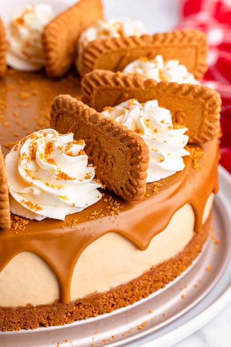 Biscoff Cheesecake Baked, Biscoff Cheesecake Recipes, Cheesecake Decoration, Biscoff Cheesecake, Biscoff Cookies, Lotus Biscoff, Sweet Stuff, Lotus, Cheesecake