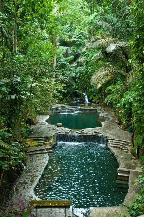 Garden Chess, Garden Maze, Taman Air, Natural Swimming Ponds, Garden Pond Design, Maze Design, Swimming Pond, Natural Swimming Pools, Pond Design