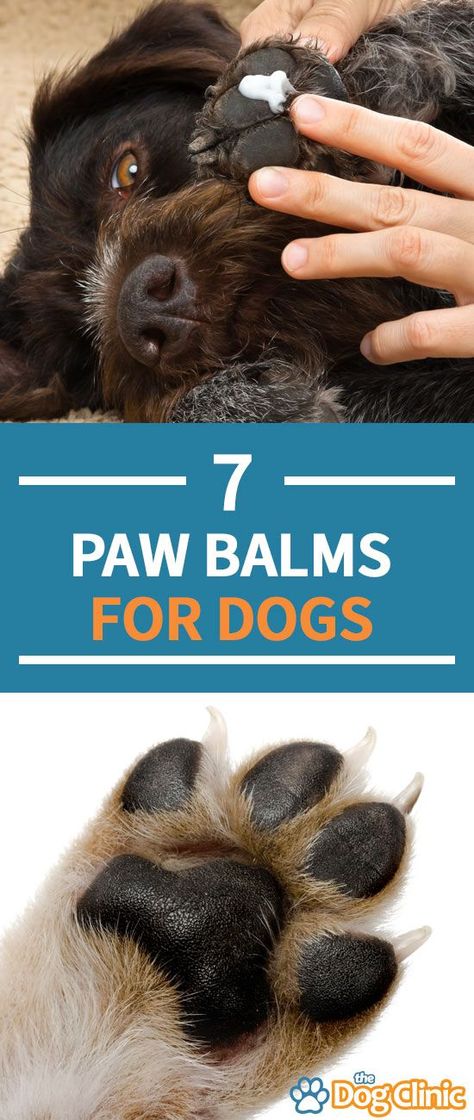 Balm For Dog Paws, Paw Care For Dogs, Dog Paw Moisturizer Diy, Dog Paw Lotion, Dog Paw Moisturizer, Dog Paw Wax, Dog Paw Care, Dog Balm, Dog Paw Balm