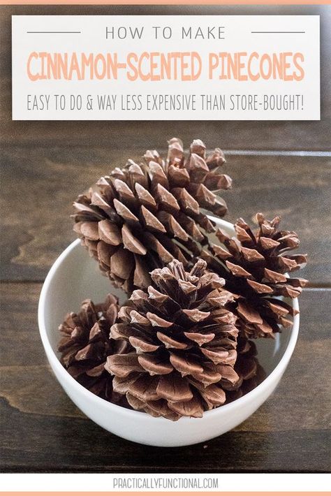 Cinnamon Scented Pinecones, Pinecones Ideas, Paint Pinecones, Cinnamon Pinecones, Scented Pine Cones, Cinnamon Scent, Diy Cinnamon, Scented Pinecones, Pinecone Crafts