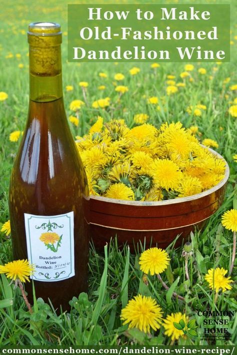 Dandelion Wine Recipe, Wine Making Recipes, Homemade Wine Recipes, Dandelion Wine, Wine Recipe, Foraging Recipes, Foraged Food, Homemade Wine, Dandelion Recipes