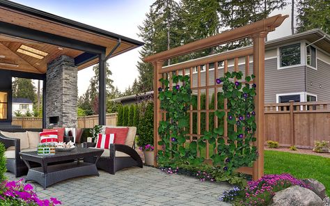 A wooden trellis with vines being used to shade one side of a patio. Backyard Planning, Vinyl Lattice Panels, Panel Trellis, Yard Privacy, New England Arbors, Fence Gates, Wood Arbor, Screen Outdoor, Patio Privacy