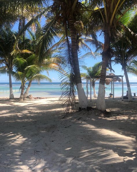 Puerto Costa Maya Mexico, Costa Maya Mexico, Tropical Backyard Landscaping, Calm Life, Anthem Of The Seas, Landscape Study, I Know Places, Mexico Cruise, Costa Maya