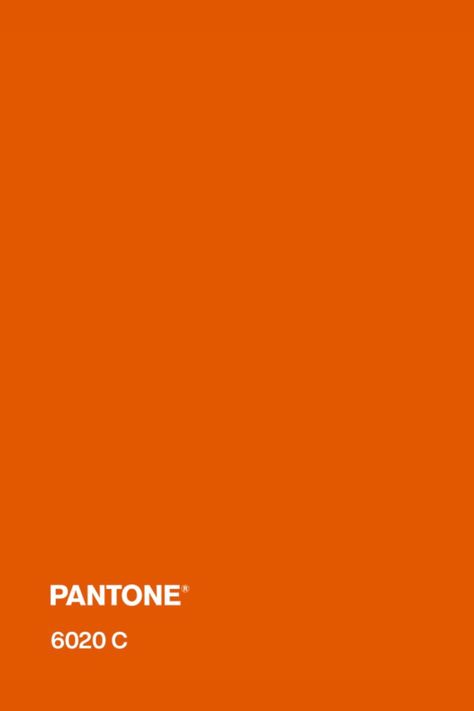 #pantone #orange #color #pantone6020c Orange Colours Shades, Pantone Burnt Orange, Plain Orange Background, Orange Pantone Colour Palettes, Orange Colour Background, Orange Pantone Shades, Pantone Tcx Orange, Orange Pantone, Pantone Orange