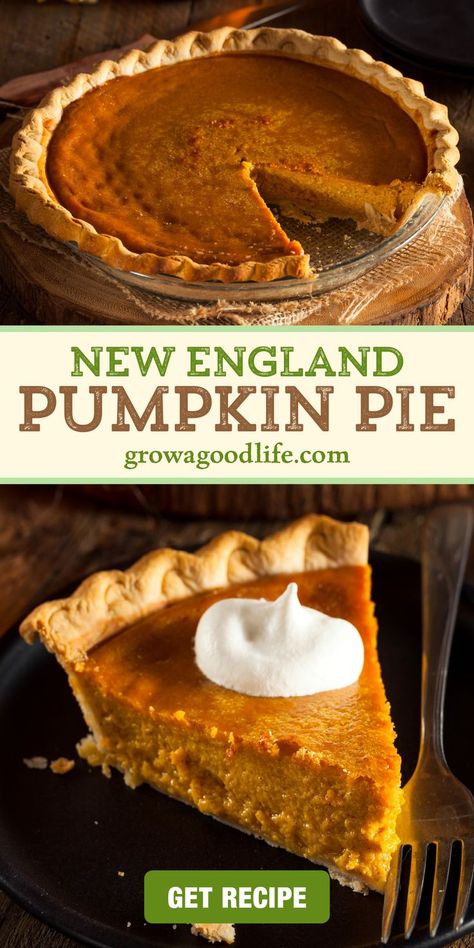 Pumpkin Pie Crust, The Best Pumpkin Pie, Homemade Pie Recipes, Best Pumpkin Pie Recipe, Apple Pie Recipe Homemade, Traditional Thanksgiving Recipes, Pumpkin Pie Recipe Easy, Pumpkin Custard, Best Pumpkin Pie