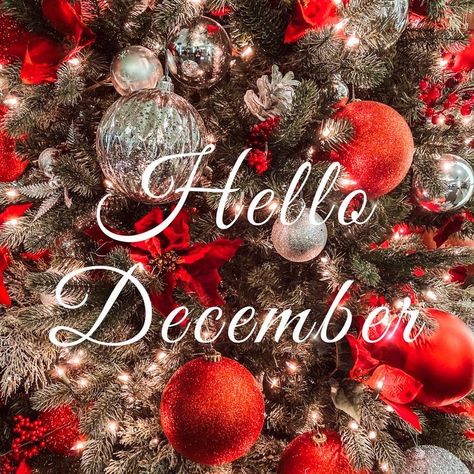 Hello December Pictures, Hello December Images, Merry Christmas Eve Quotes, Christmas Eve Quotes, December Images, December Pictures, Welcome December, Christmas Thoughts, Christmas Tree Wallpaper