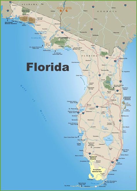 Large map of Florida 3 Map Of Florida Beaches, Steinhatchee Florida, Cayo Costa State Park, Florida Gulf Coast Beaches, Navarre Florida, Florida State Map, Gulf Coast Beaches, Florida City, Map Of Florida