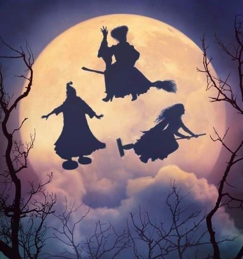 Hocus Pocus Images, Cute Halloween Images, Dual Screen Wallpaper, Spooky Background, Hocus Pocus Party, Hocus Pocus 2, Window Mural, Best Halloween Movies, Halloween Hocus Pocus