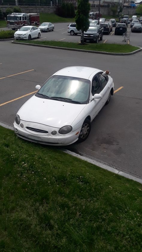 Bad parking or beautiful dog? Bad Parking, Beautiful Dog, Large Cars, Funny Fails, Car Parking, Beautiful Dogs, Bmw Car, Ruby, Cars