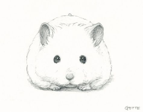 Animation Character Concept, Cartoon Drawings Of Animals, A Hamster, Dragonfly Art, Cartoon Sketches, Cute Hamsters, Amazing Drawings, Pencil Art Drawings, Animal Sketches