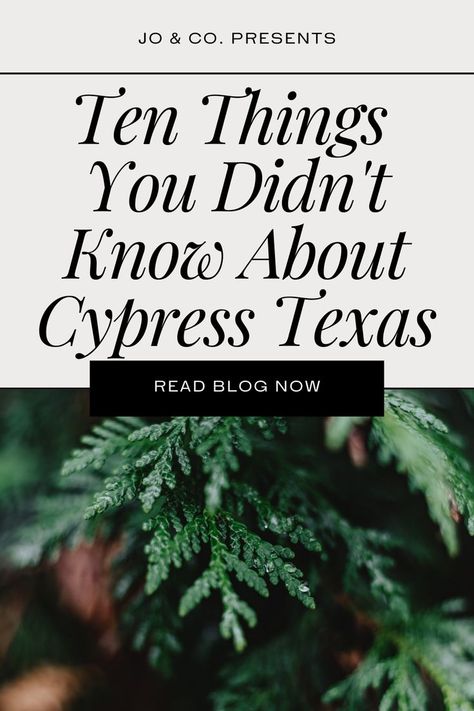 Hi friend, are you looking to learn more about Cypress? Well I have put together 10 facts on Cypress TX I am sure you are going to love. If you are looking for more information about different suburbs, check out my Youtube channel. Cypress Texas, Cheap Stores, Hi Friend, My Youtube Channel, Put Together, Youtube Channel, To Learn, Texas, Novelty Sign