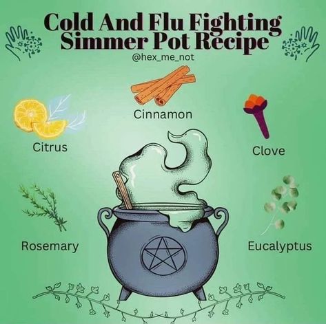 Midsummer Solstice, Cauldron Witch, Simmer Pot Recipes, Kitchen Witch Recipes, Potpourri Recipes, Simmer Pot, Mulling Spices, Wiccan Magic, Witch Spirituality