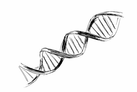 Dna Drawing, Dna Logo, Sketch Style Tattoos, Trash Polka, Tattoos For Guys, Sketch, Tattoos, Drawings