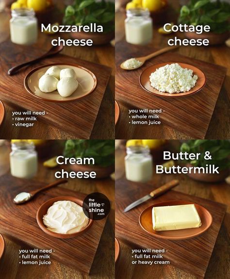 Little DIY Home Made Cottage Cheese Recipes, Diy Cottage Cheese, Make Cheese At Home, Make Cottage Cheese, Diy Cottage, Cheese Making Recipes, Cheese At Home, Cooking Substitutions, Make Cream Cheese