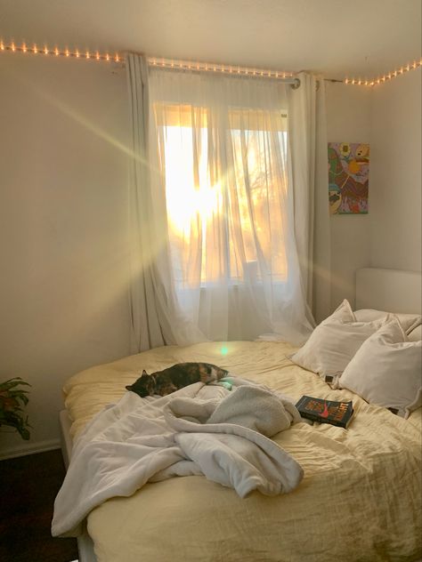 Cozy Nap Aesthetic, Taking Naps Aesthetic, Afternoon Nap Aesthetic, Couch Nap Aesthetic, Napping Aesthetic, Nap Aesthetic, Afternoon Sun, Afternoon Nap, Soft Yellow