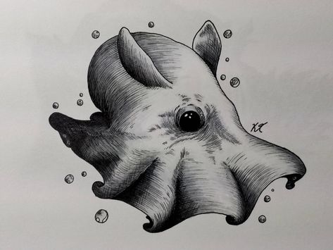 Flapjack Octopus, Octopus Sketch, Ocean Sleeve, Imagination Illustration, Dumbo Octopus, Octopus Drawing, Octopus Tattoos, Water Tattoo, Octopus Tattoo